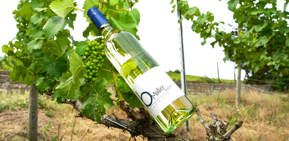Mueller Wein